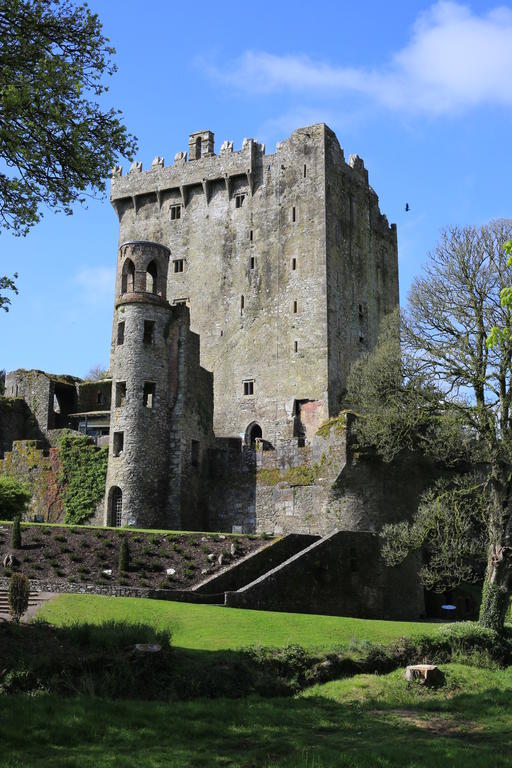 The White House B&B Cork Eksteriør bilde